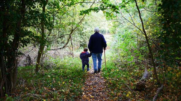 Grandparent with grandchild walking in woods